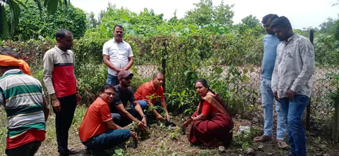 Tree Plantation 2025 – Maharashtra