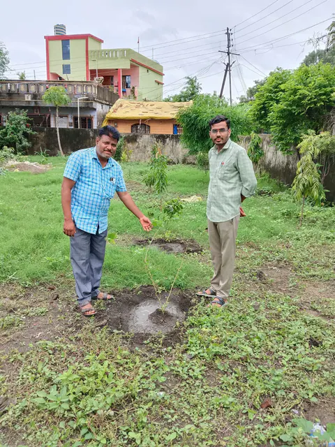 Tree Plantation 2025 – Maharashtra