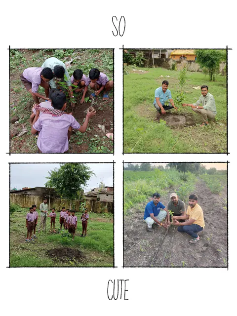 Tree Plantation 2025 – Maharashtra