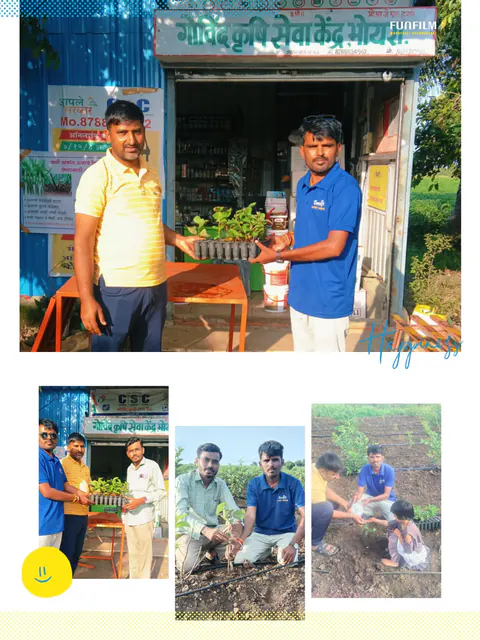 Tree Plantation 2025 – Maharashtra