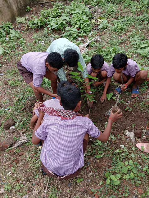 Tree Plantation 2025 – Maharashtra