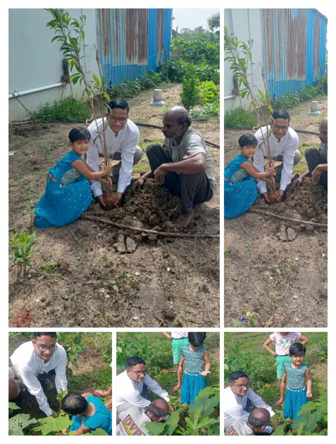Tree Plantation 2025 – Maharashtra