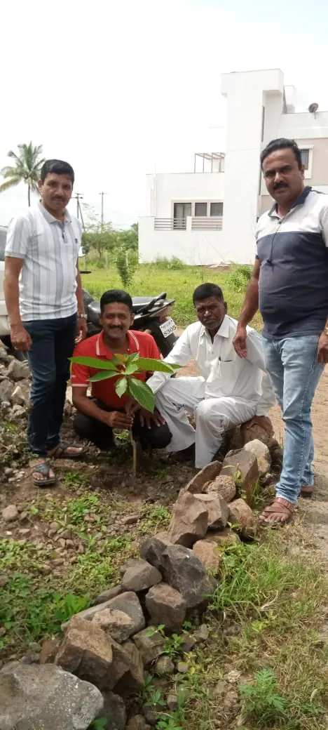 Tree Plantation 2025 – Maharashtra