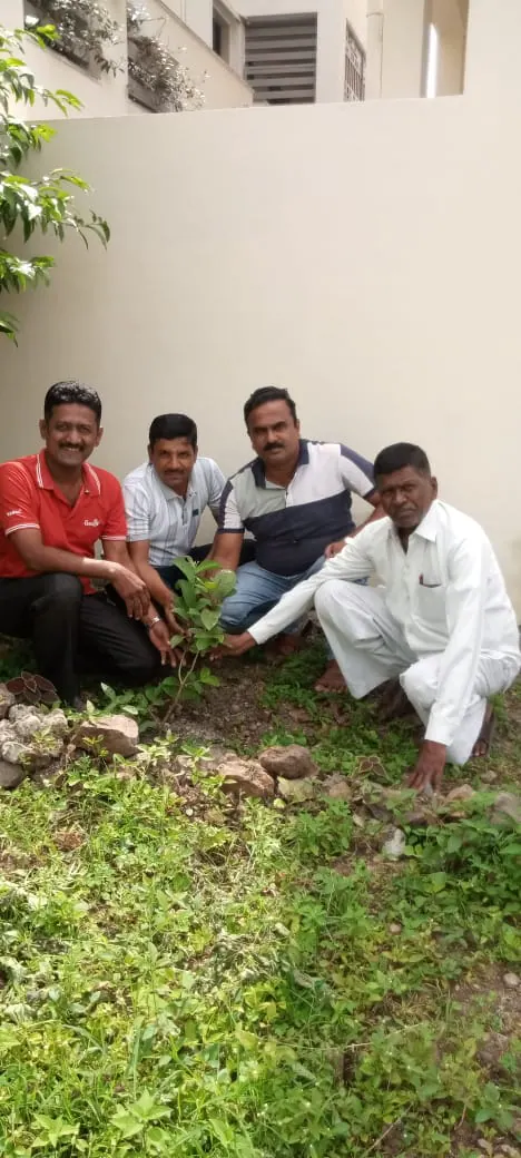 Tree Plantation 2025 – Maharashtra