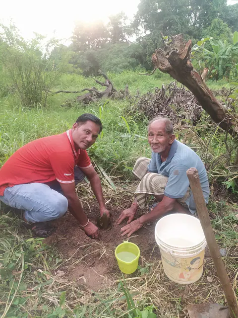 Tree Plantation 2025 – Odisha