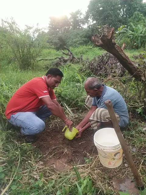 Tree Plantation 2025 – Odisha