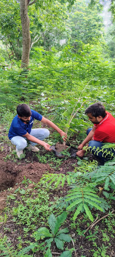 Tree Plantation 2025 – Odisha