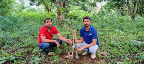 Tree Plantation 2025 – Odisha