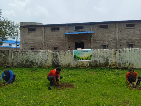 Tree Plantation 2025 – Odisha
