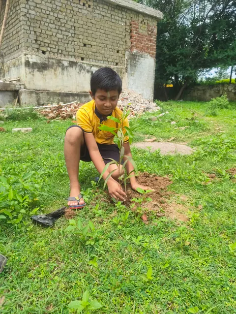 Tree Plantation 2025 – Odisha