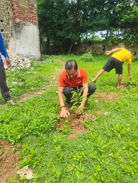 Tree Plantation 2025 – Odisha