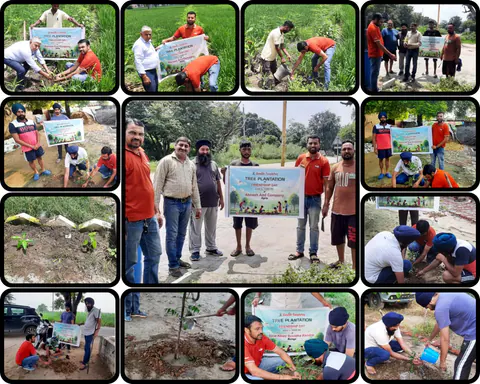 Tree Plantation 2025 – Punjab
