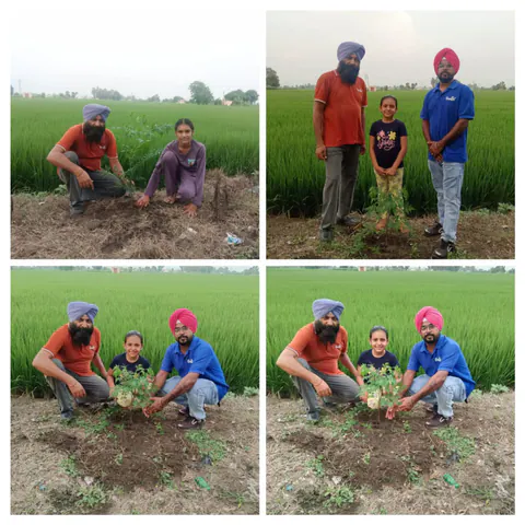 Tree Plantation 2025 – Punjab