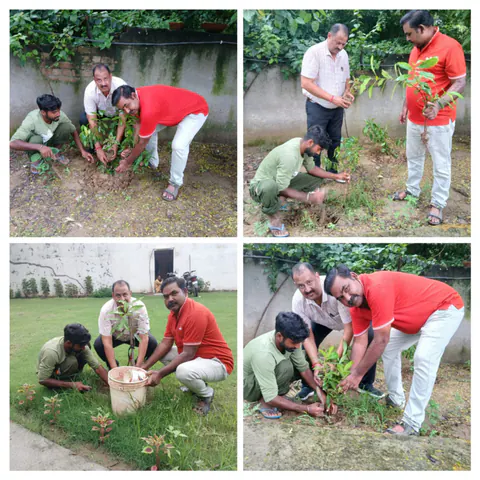 Tree Plantation 2025 – Punjab