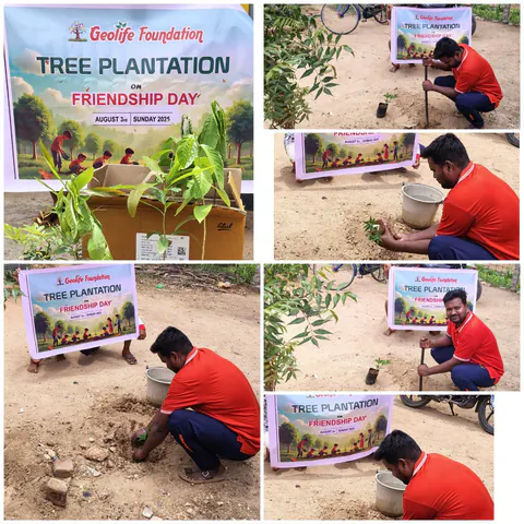 Tree Plantation 2025 – Tamil Nadu