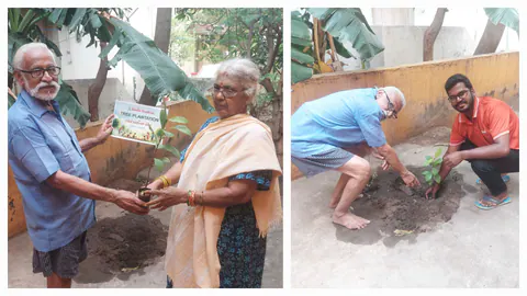 Tree Plantation 2025 – Tamil Nadu