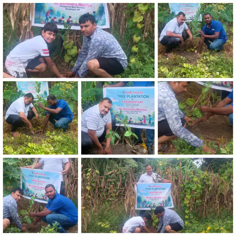 Tree Plantation 2025 – Uttar Pradesh