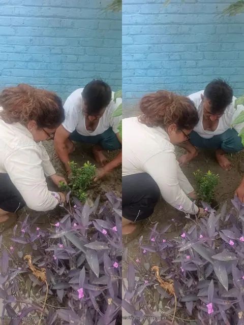 Tree Plantation 2025 – Uttar Pradesh