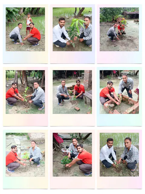 Tree Plantation 2025 – Uttar Pradesh