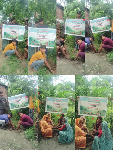 Tree Plantation 2025 – Uttar Pradesh
