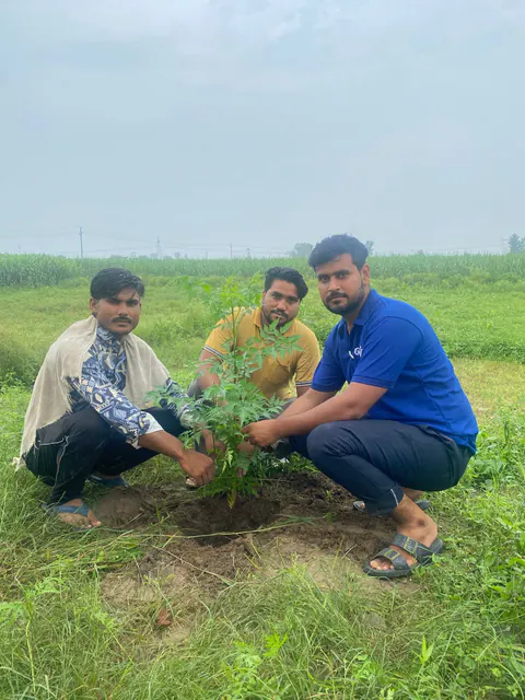 Tree Plantation 2025 – Uttar Pradesh