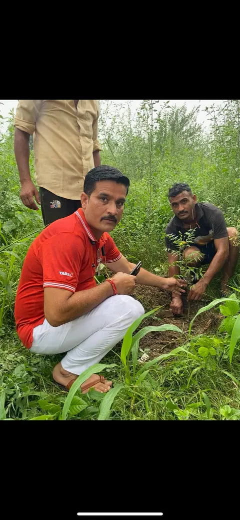 Tree Plantation 2025 – Uttar Pradesh
