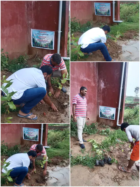 Tree Plantation 2025 – Uttar Pradesh