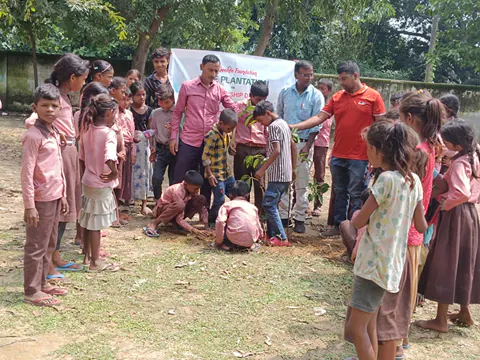 Tree Plantation 2025 – Uttar Pradesh