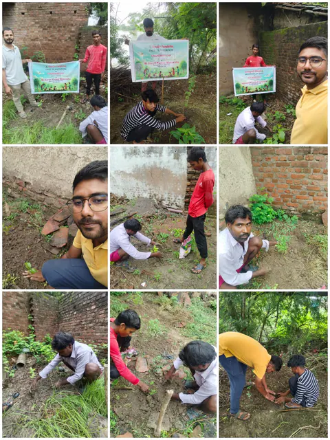 Tree Plantation 2025 – Uttar Pradesh