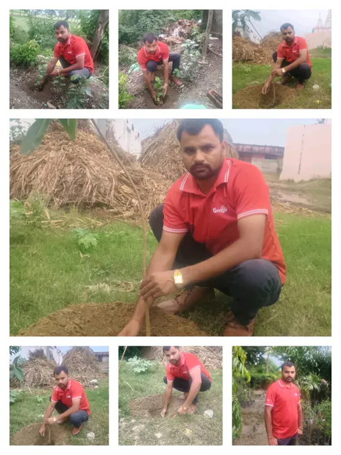Tree Plantation 2025 – Uttar Pradesh