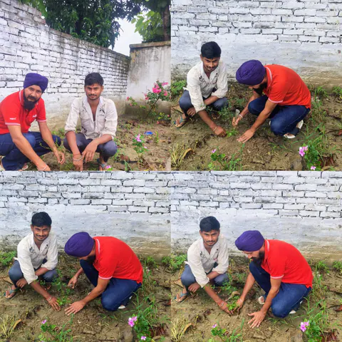 Tree Plantation 2025 – Uttar Pradesh