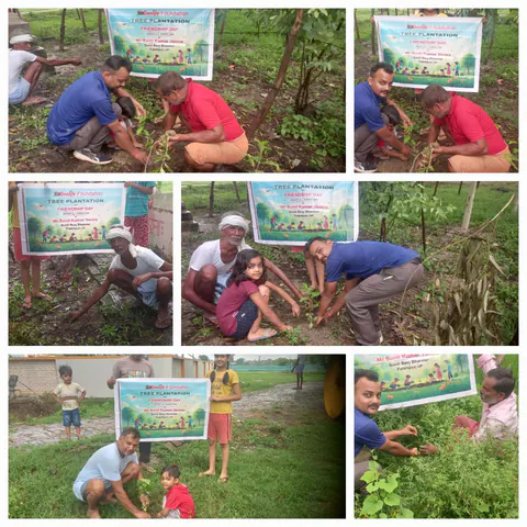 Tree Plantation 2025 – Uttar Pradesh