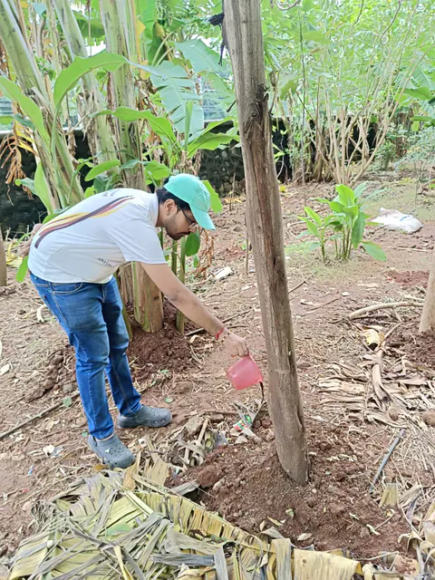 Tree Plantation 2025 – Wadhwa