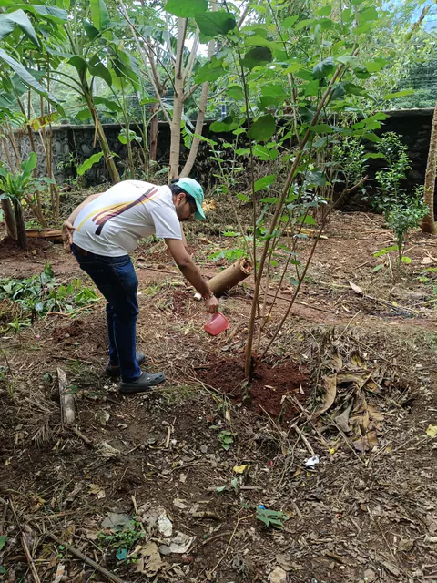 Tree Plantation 2025 – Wadhwa