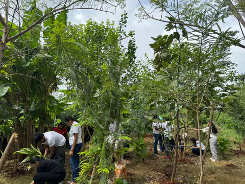 Tree Plantation 2025 – Wadhwa