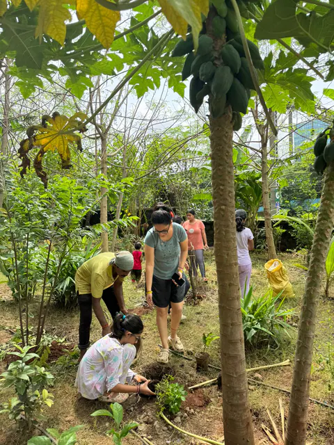 Tree Plantation 2025 – Wadhwa