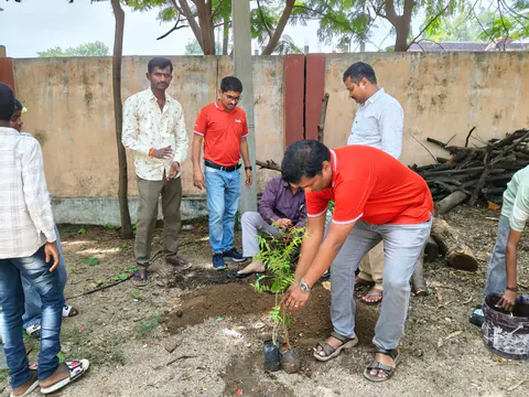 Tree Plantation 2026 – Andhra Pradesh & Telangana