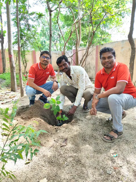 Tree Plantation 2026 – Andhra Pradesh & Telangana