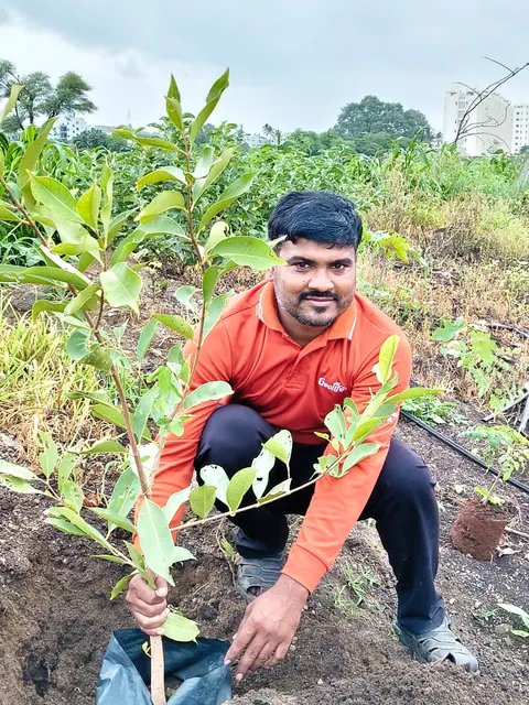 Tree Plantation 2026 – Factory & Research Farm