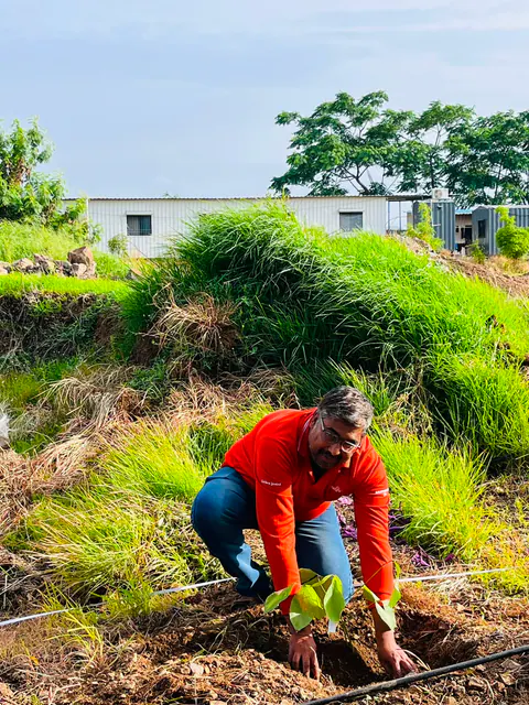 Tree Plantation 2026 – Factory & Research Farm