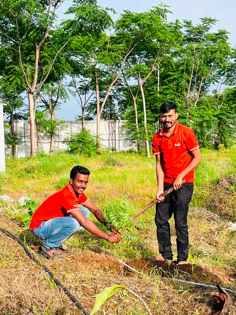 Tree Plantation 2026 – Factory & Research Farm