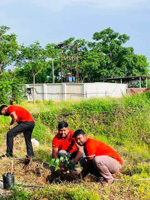 Tree Plantation 2026 – Factory & Research Farm