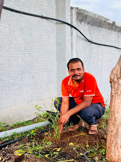 Tree Plantation 2026 – Factory & Research Farm
