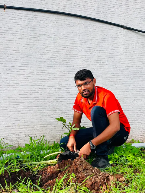 Tree Plantation 2026 – Factory & Research Farm