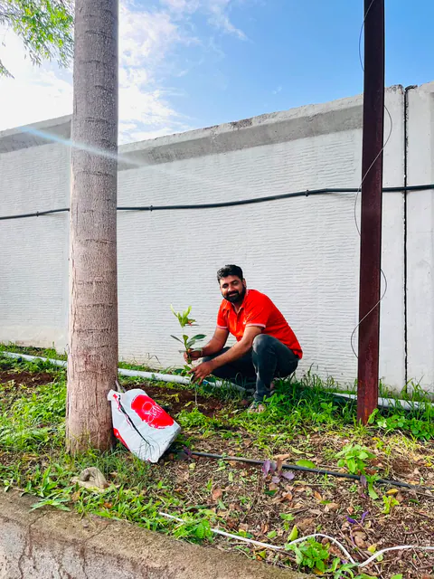 Tree Plantation 2026 – Factory & Research Farm