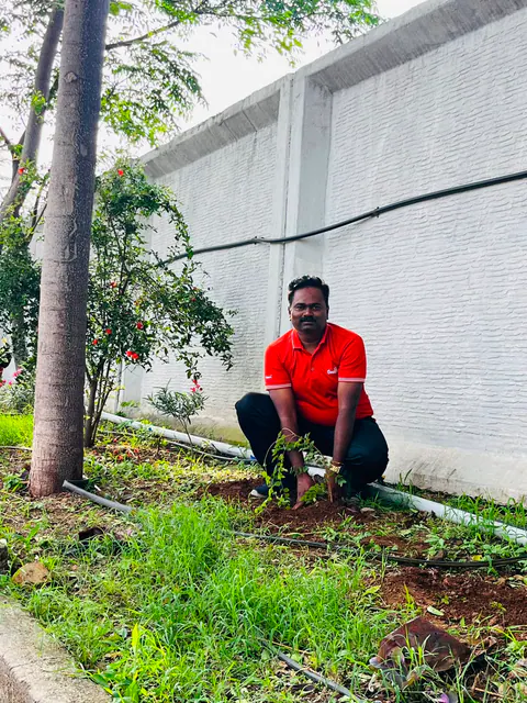 Tree Plantation 2026 – Factory & Research Farm