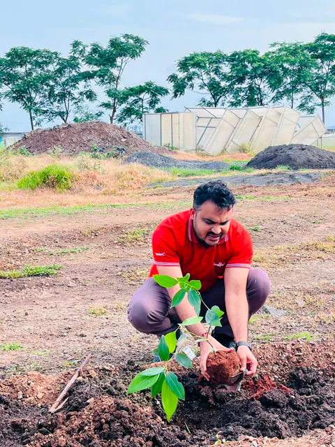 Tree Plantation 2026 – Factory & Research Farm