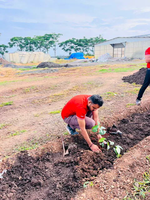 Tree Plantation 2026 – Factory & Research Farm
