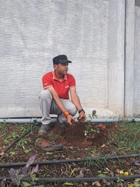 Tree Plantation 2026 – Factory & Research Farm