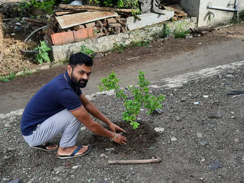 Tree Plantation 2026 – Head Office